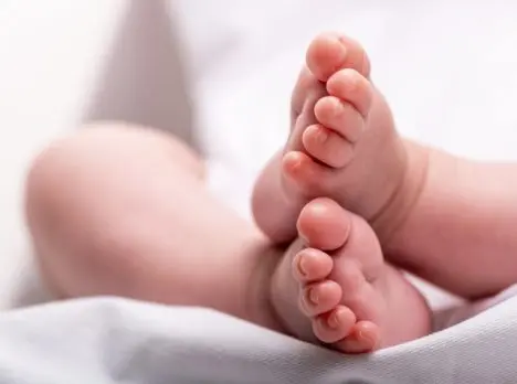 Hospital dice bebés encontrados en el Cristo Salvador se entregaron a funeraria para sepultura