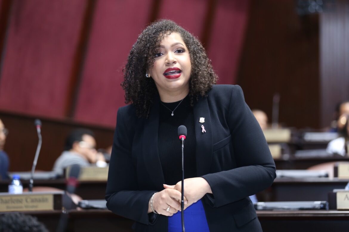 Juliana O’Neal aboga por la articulación de una política de salud preventiva en el Estado