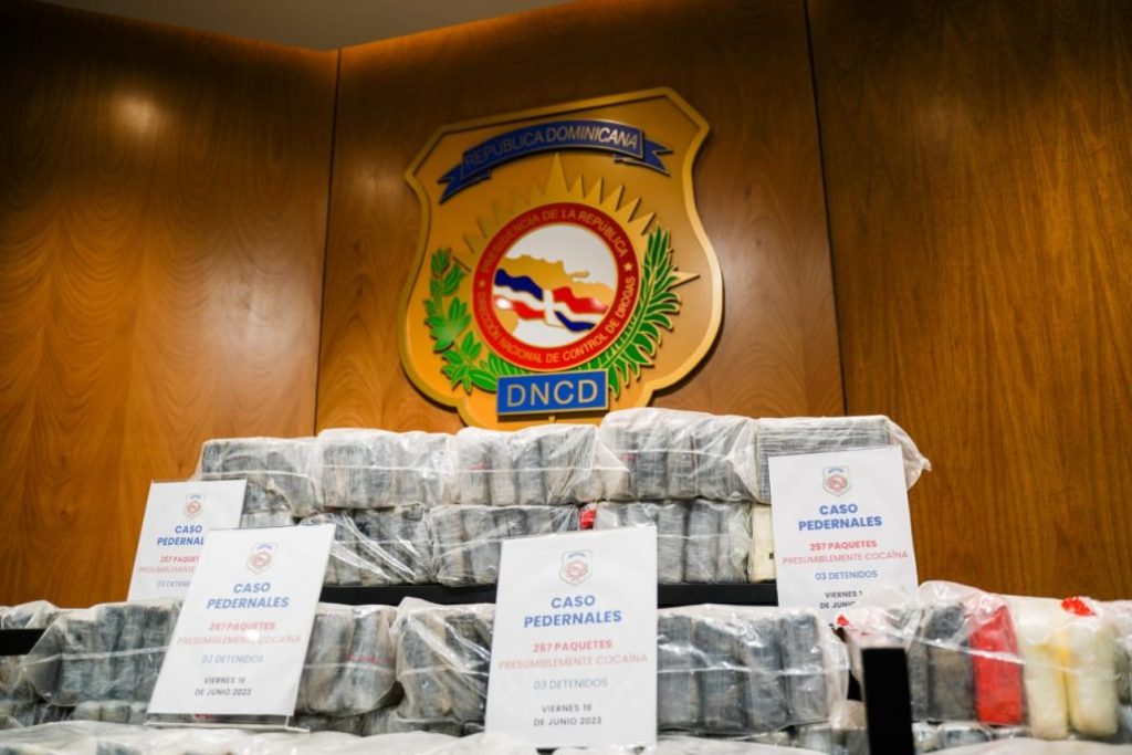 En las últimas 48 horas, DNCD ocupa 785 paquetes de cocaína en Peravia