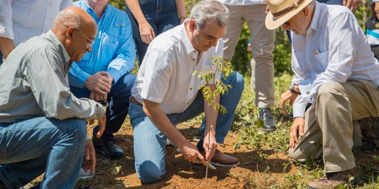 Presidente Abinader encabeza lanzamiento del Plan de Reforestación declarado de seguridad nacional