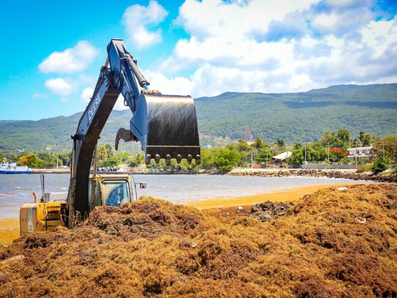 Ayuntamiento de Boca Chica retira más de 30 camiones de sargazo