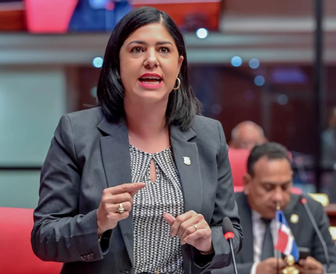 Senadora María Ortiz solicita declarar el 10 de marzo “Día de la Concientización sobre el uso de Fuegos Artificiales