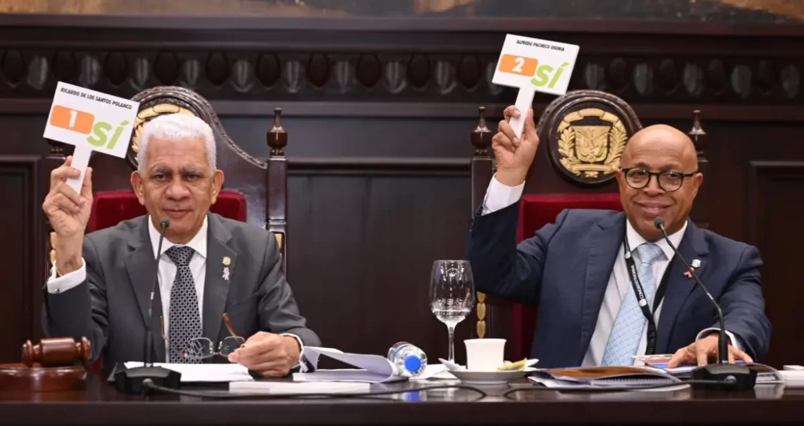 Asamblea Nacional Revisora aprueba reforma constitucional en segunda lectura