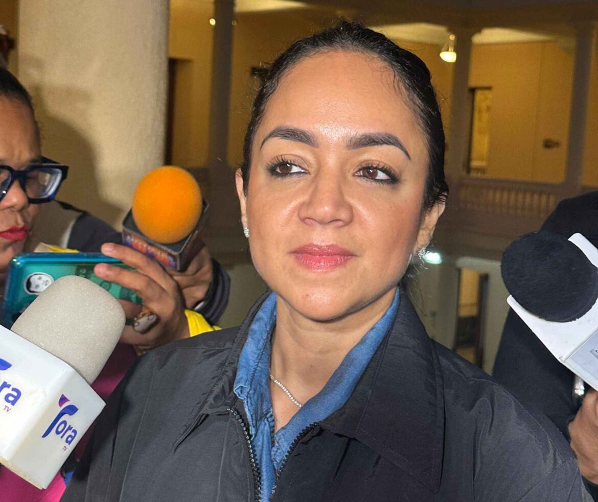 Faride Raful responde a Guzmán Fermín y defiende cifras sobre reducción del crimen