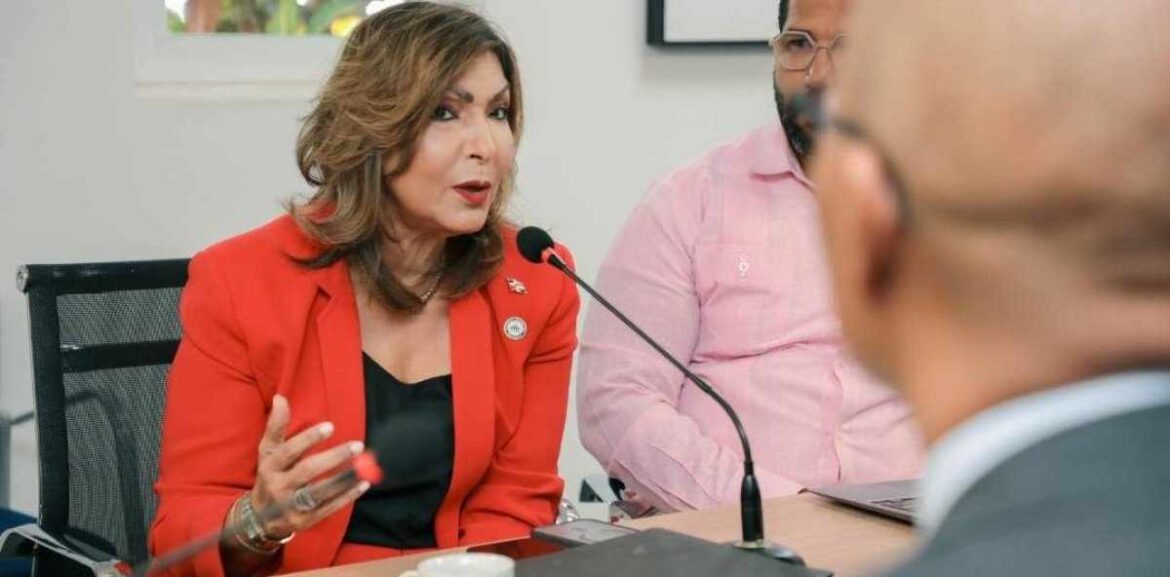 Geanilda Vásquez destaca avances de RD en protección social adaptativa
